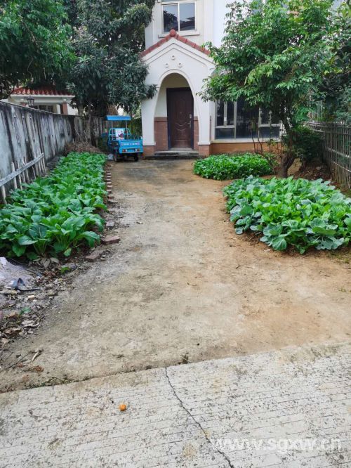 “私家菜园”乱象亟待解决(分离图)闲置别(577752)-20201112091309