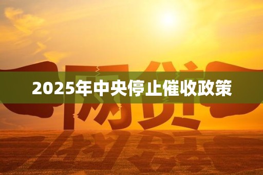 2025年中央停止催收政策