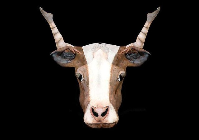 逆天人体彩绘将美女与自然融为一体 超强伪装考验你眼力