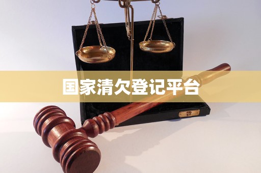 国家清欠登记平台