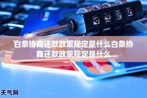 白条协商还款政策规定是什么白条协商还款政策规定是什么