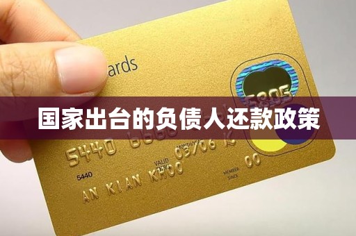 国家出台的负债人还款政策