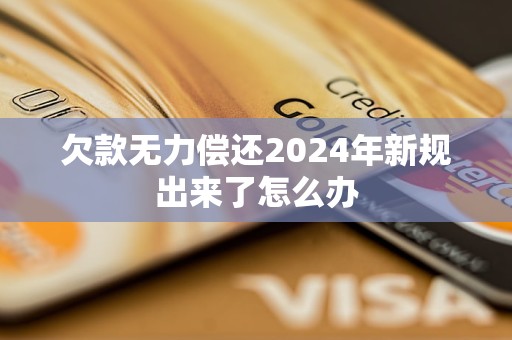 欠款无力偿还2024年新规出来了怎么办