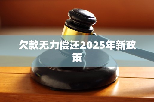欠款无力偿还2025年新政策