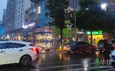 电动车逆行被车撞了怎么责任划分