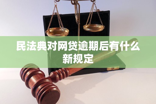 民法典对网贷逾期后有什么新规定