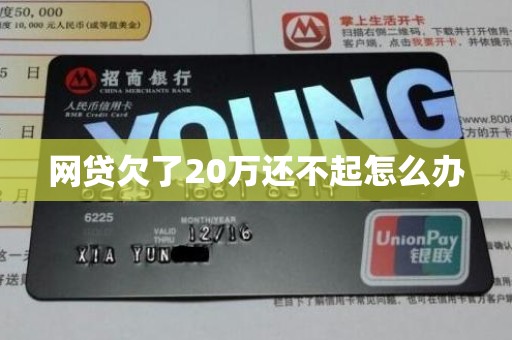 网贷欠了20万还不起怎么办
