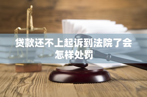 贷款还不上起诉到法院了会怎样处罚