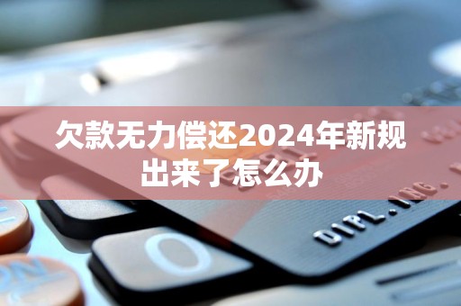 欠款无力偿还2024年新规出来了怎么办