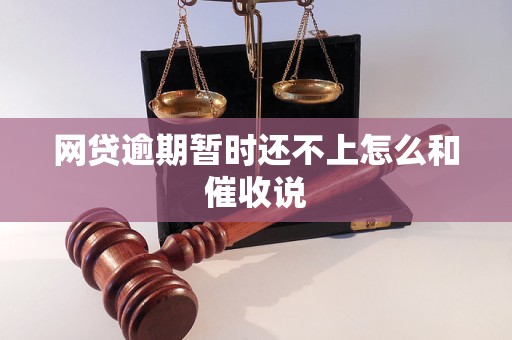 网贷逾期暂时还不上怎么和催收说