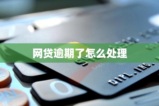 网贷逾期了怎么处理