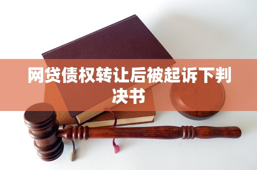 网贷债权转让后被起诉下判决书