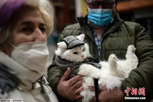 资料图:当地时间1月17日,西班牙潘普洛纳,为了庆祝圣安东尼节,民众带着宠物上教堂参加祈福仪式,接受赐福。