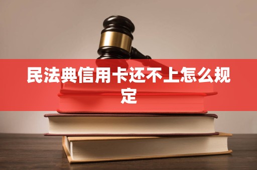 民法典信用卡还不上怎么规定