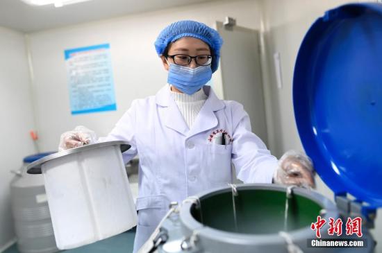 资料图：精子库医务人员将合格的精液存放到超低温的液氮箱子里。韦亮 摄