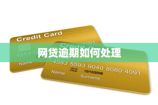 网贷逾期如何处理