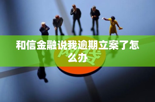 和信金融说我逾期立案了怎么办