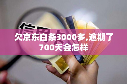 欠京东白条3000多,逾期了700天会怎样