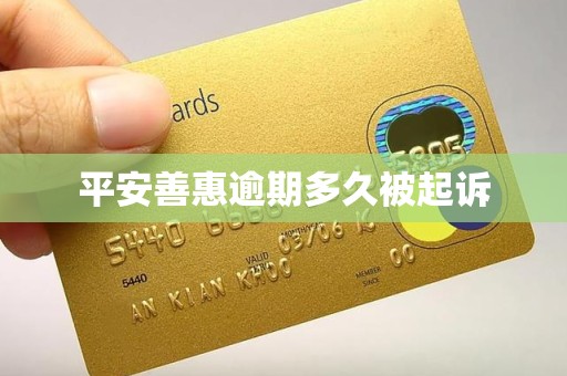 平安善惠逾期多久被起诉