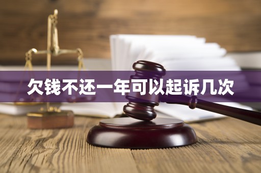 欠钱不还一年可以起诉几次