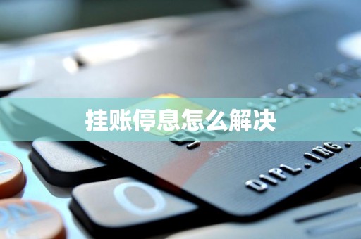 挂账停息怎么解决