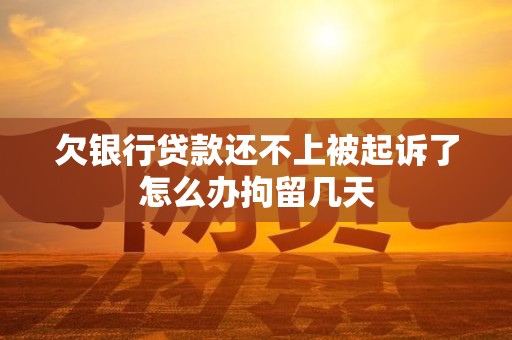 欠银行贷款还不上被起诉了怎么办拘留几天