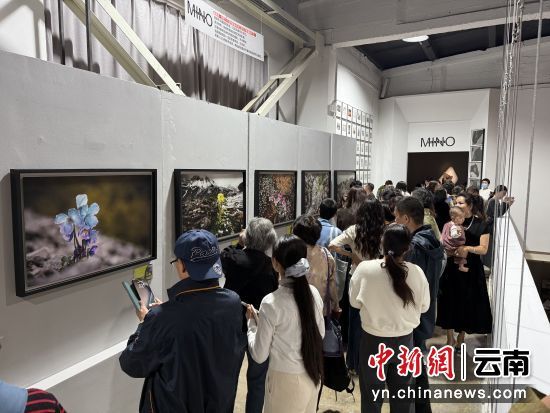 图为展览现场。