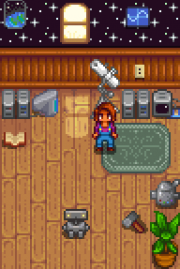 Maru Spouse Room.png