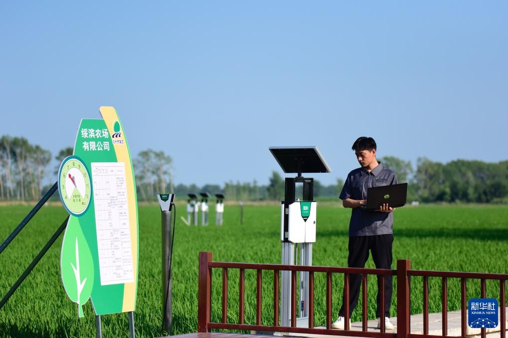 黑龙江垦区：“用养结合”保护黑土地