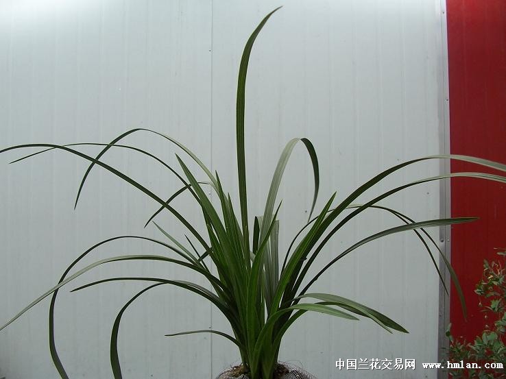 点击图片在新窗口浏览原图