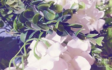 劳动纪律包括哪些内容