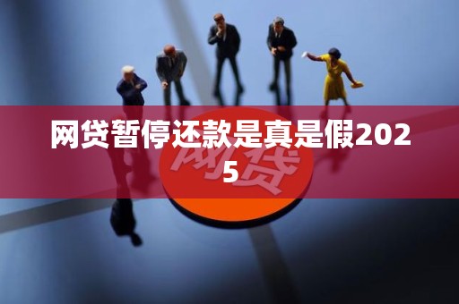 网贷暂停还款是真是假2025