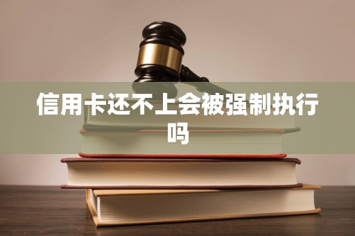 信用卡还不上会被强制执行吗