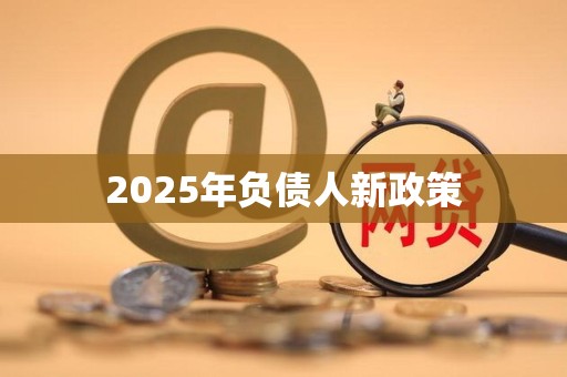2025年负债人新政策