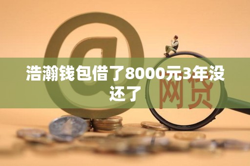 浩瀚钱包借了8000元3年没还了