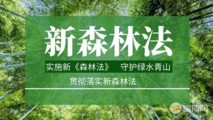 中华人民共和国森林法最新版修订全文2023
