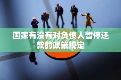 国家有没有对负债人暂停还款的政策规定