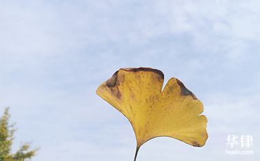 可以前90天内进口产品追溯征收反倾销税的情形