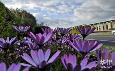 2024三包法规定多少天内退换货