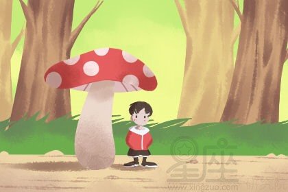 深圳算命准比较有名的地方