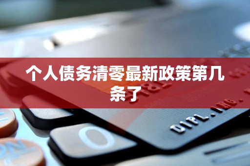 个人债务清零最新政策第几条了