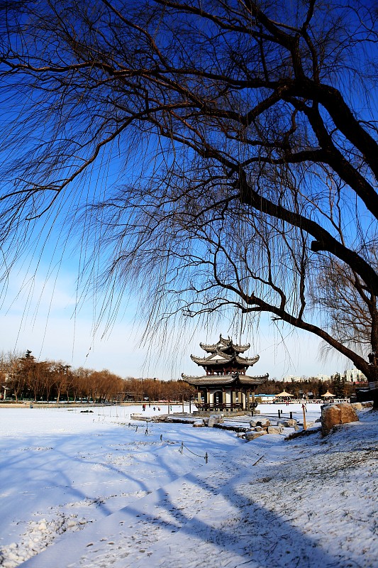 陶然亭公园图片下载