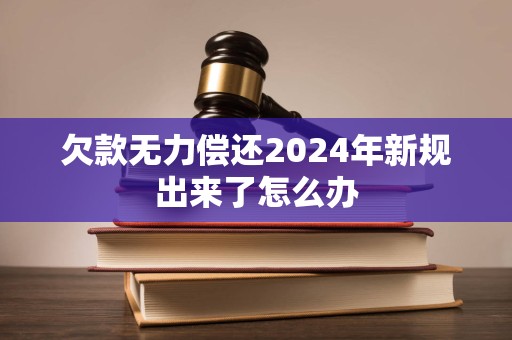 欠款无力偿还2024年新规出来了怎么办