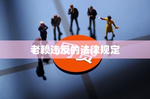 老赖违反的法律规定