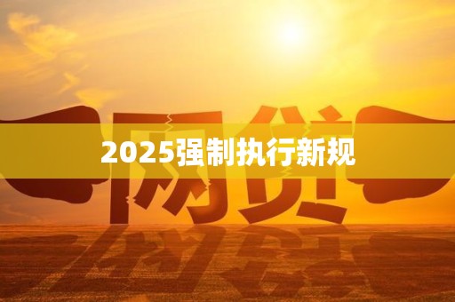 2025强制执行新规