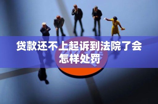 贷款还不上起诉到法院了会怎样处罚