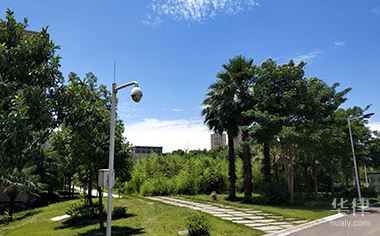 村民个人是否能出租承包地