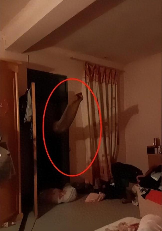 云南村民深夜熟睡被大象撞开卧室门，卷走了门口一袋物品后潇洒离开